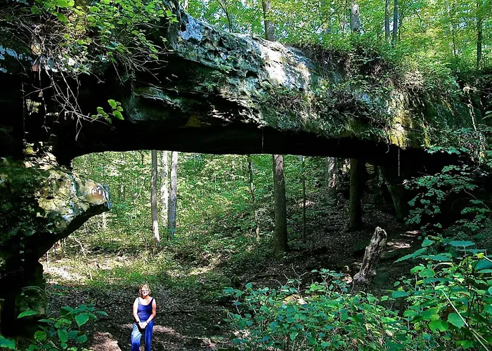 Secluded Cabin, Salt Hot Tub Carbondale