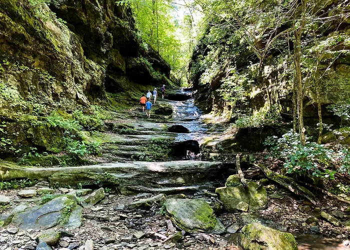 Secluded Cabin, Salt Hot Tub * Carbondale